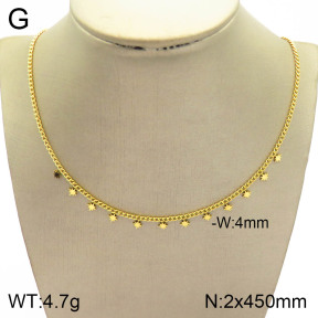 2N2003662bvpl-341  Stainless Steel Necklace