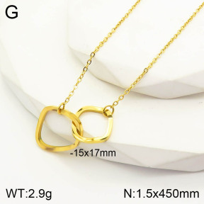 2N2003666ablb-341  Stainless Steel Necklace