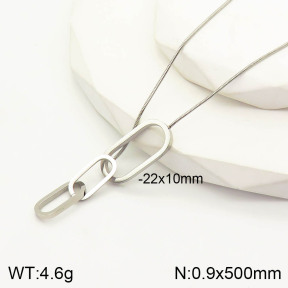 2N2003668aakl-341  Stainless Steel Necklace