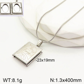 2N2003703vbnb-434  Stainless Steel Necklace