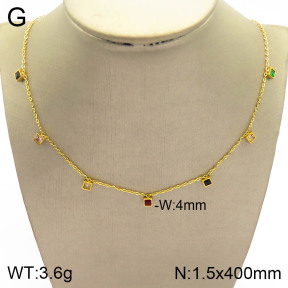 2N4002600vbnl-341  Stainless Steel Necklace
