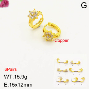 F2E401154amaa-J143  Fashion Copper Earrings