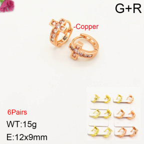 F2E401157amaa-J143  Fashion Copper Earrings