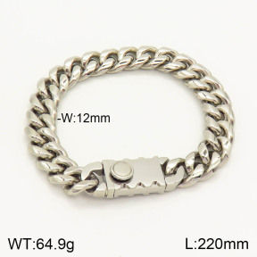 2B2002482biib-237  Stainless Steel Bracelet