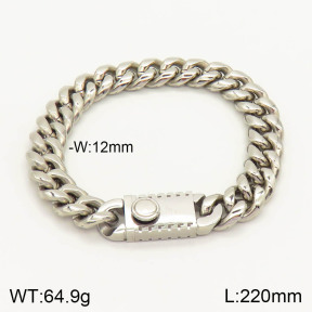 2B2002484biib-237  Stainless Steel Bracelet