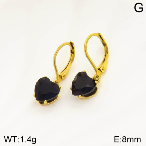 2E4002998vail-420  Stainless Steel Earrings