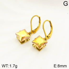 2E4003027vail-420  Stainless Steel Earrings