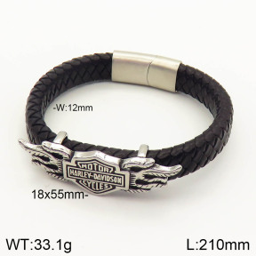 2BA000137ahjb-201  Stainless Steel Bangle