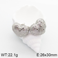 5E2003360bhva-066  Stainless Steel Earrings  Handmade Polished