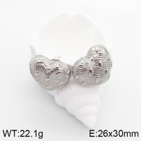 5E2003360bhva-066  Stainless Steel Earrings  Handmade Polished