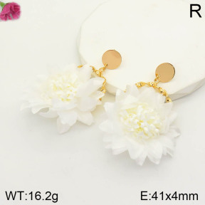 F2E300595vbmb-K53  Fashion Earrings