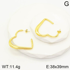 2E2003136bhva-493  Stainless Steel Earrings