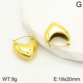2E2003138bhva-493  Stainless Steel Earrings