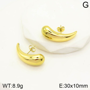 2E2003165vbpb-493  Stainless Steel Earrings