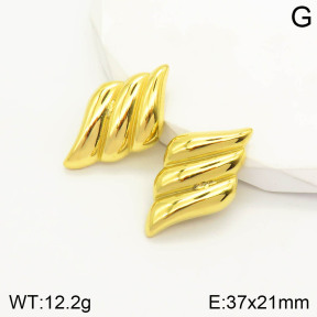 2E2003167vbpb-493  Stainless Steel Earrings