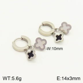 2E3001945bvpl-669  Stainless Steel Earrings
