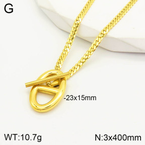 2N2003762bhva-669  Stainless Steel Necklace