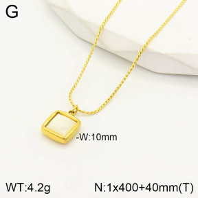 2N3001475bbov-669  Stainless Steel Necklace