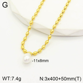 2N3001477bvpl-669  Stainless Steel Necklace