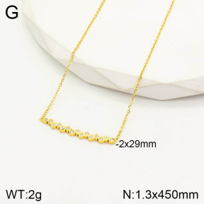 2N4002611bbov-493  Stainless Steel Necklace