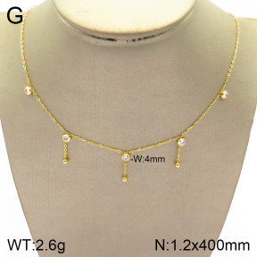 2N4002621vbpb-493  Stainless Steel Necklace