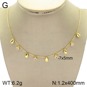 2N4002622bhia-493  Stainless Steel Necklace
