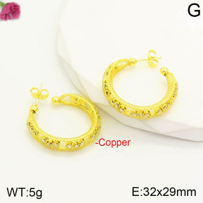 F2E401164bhia-J22  Fashion Copper Earrings