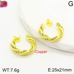F2E401166bhia-J22  Fashion Copper Earrings