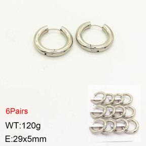 2E2003189akia-256  Stainless Steel Earrings