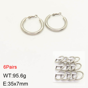2E2003190akoa-256  Stainless Steel Earrings