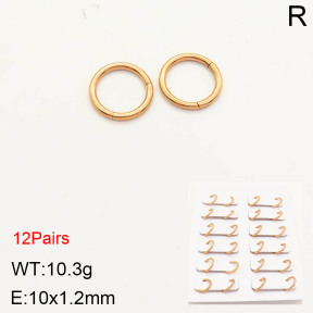 2E2003194bmmb-256  Stainless Steel Earrings
