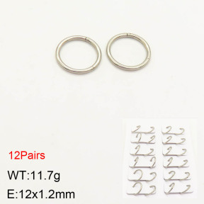 2E2003198amaa-256  Stainless Steel Earrings