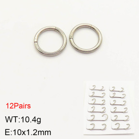 2E2003199amaa-256  Stainless Steel Earrings
