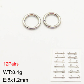 2E2003200amaa-256  Stainless Steel Earrings