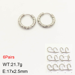 2E2003202ajma-256  Stainless Steel Earrings