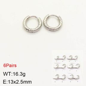 2E2003203ajvb-256  Stainless Steel Earrings