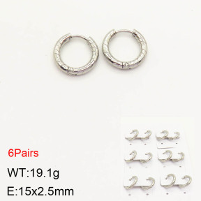 2E2003204ajvb-256  Stainless Steel Earrings