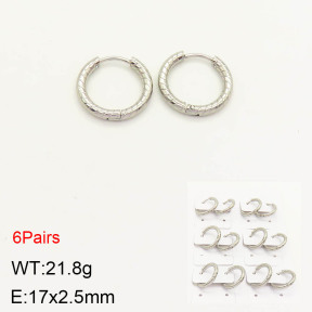 2E2003205ajvb-256  Stainless Steel Earrings