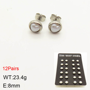 2E3001950bika-256  Stainless Steel Earrings