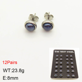 2E3001951bika-256  Stainless Steel Earrings