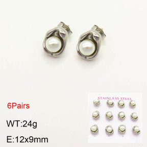 2E3001952vhov-436  Stainless Steel Earrings