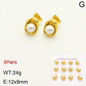 2E3001953vihb-436  Stainless Steel Earrings
