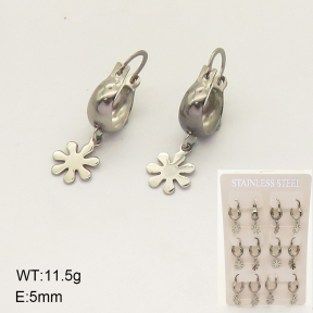 6E2006619bhia-372  Stainless Steel Earrings