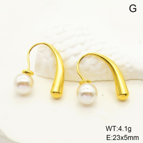 6E3002546vbmb-434  Stainless Steel Earrings