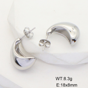 6E2006632bvlm-G038  Stainless Steel Earrings