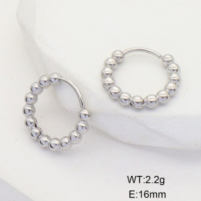 6E2006633bblj-G038  Stainless Steel Earrings