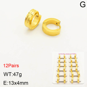 2E2003210alka-387  Stainless Steel Earrings