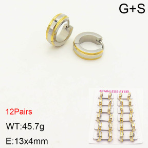 2E2003211alka-387  Stainless Steel Earrings