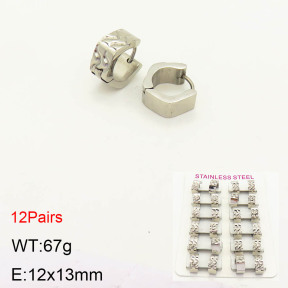 2E2003212akoa-387  Stainless Steel Earrings