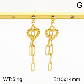 2E2003216aakl-698  Stainless Steel Earrings